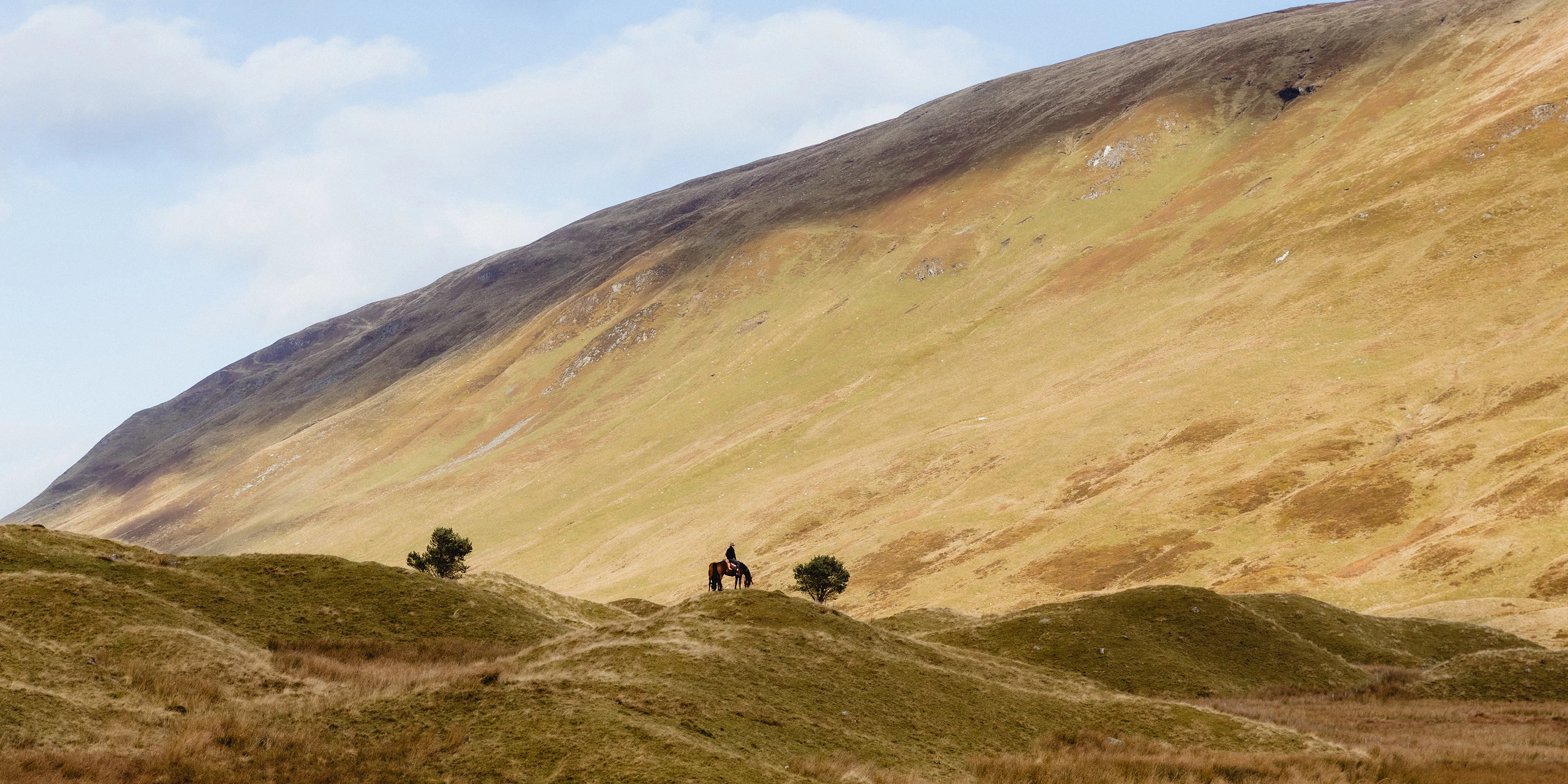 Elevated Menswear, Rooted in Nature